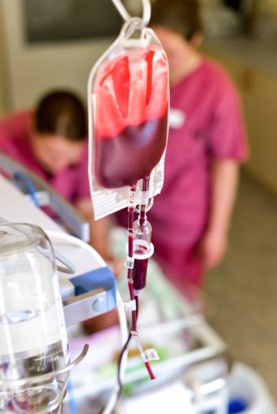 L'indemnisation des cas d'hépatite C post transfusionnelle