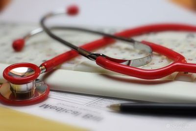 Nos prestations sur le secteur de Cannes Côte d'Azur